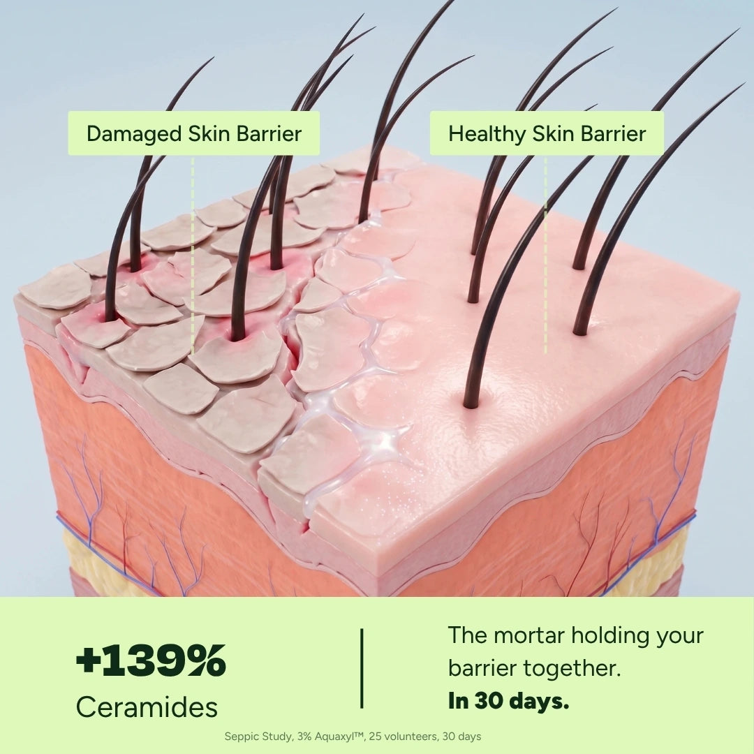 Barrier Serum