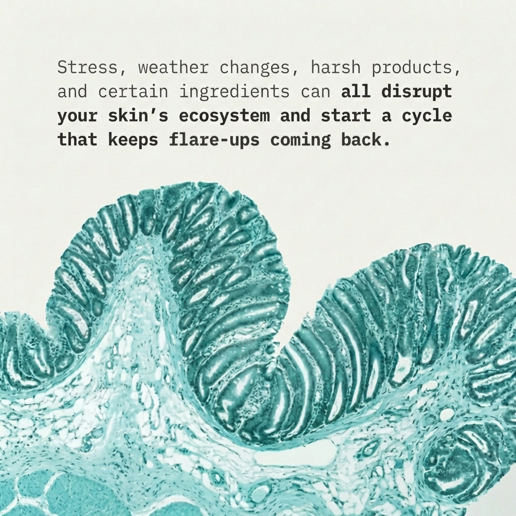 Barrier Serum